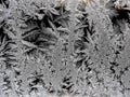 beautiful frosty patterns on the window glass Royalty Free Stock Photo