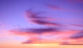 Fantastic beautiful sky at sunset, cirrus clouds of lilac color