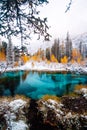 Fantastic blue geyser lake in the autumn forest. Altai, Russia.