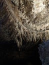 Fantastic Caverns in Springfield, Missoui