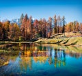 Fantastic colors view of Scin lake with yellow pine trees. Royalty Free Stock Photo