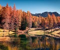 Fantastic colors view of Scin lake with yellow pine trees Royalty Free Stock Photo