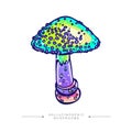 A fantastic concept of an acid toadstool drawn by hand. Stylized image of a psilocybin mushroom. Amazing fly agaric sticker.