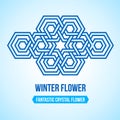 Fantastic crystal flower icon