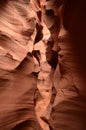 Fantastic Curves and Patterns in Antelpe Canyon