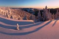 Fantastic evening and morning winter landscape. Colorful overcast sky. Beauty world Magical snow covered tree. First snow