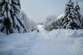 Fantastic evening winter landscape with snow covered tree, lonely traveller and cloudy sky. Dramatic overcast sky. Creative Royalty Free Stock Photo