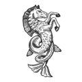 Fantastic fish horse animal engraving vector