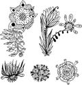 Fantastic floral elements set. Ink flowers collection. Outline botanical drawing art. Vector illustration Royalty Free Stock Photo