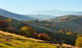 Fantastic foggy autumn morning and bright grass in sunlight. Carpathian, Ukraine