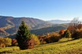 Fantastic foggy autumn morning and bright grass in sunlight. Carpathian, Ukraine, Europe