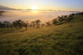 Fantastic foggy mountain with fresh green grass