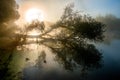 Fantastic foggy river with nice reflection and rays of light in the sunlight