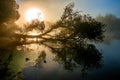 Fantastic foggy river with nice reflection in the sunlight