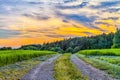 Fantastic Franconian Spring Landscape