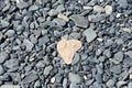 Fantastic Heart Shaped Stone on a Dark Stone Beach Royalty Free Stock Photo