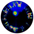 Fantastic infrared scan of black eye iris, light reflection.