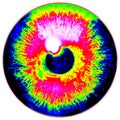 Fantastic infrared scan of blue eye iris, light reflection