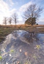 Fantastic landscape. The dramatic scene sunset over water, trees and leafs reflected in the water. color in nature Royalty Free Stock Photo