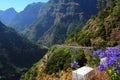 Fantastic Mountain View in Madeira Royalty Free Stock Photo