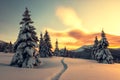 Dramatic wintry scene with snowy trees.