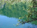 Fantastic panorama and natural scenery of forests, mountain rivers and waterfalls near Plitvice Lakes in Croatia. Royalty Free Stock Photo