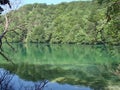 Fantastic panorama and natural scenery of forests, mountain rivers and waterfalls near Plitvice Lakes in Croatia. Royalty Free Stock Photo