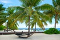 Fantastic peaceful view on innocent nature of paradise island with turquoise ocean,palms, hammock and sky