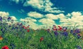 Fantastic picturesque landscape. perfect ssky with clouds over the colorful meadow with meny color flowers.