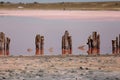 A fantastic pink salt lake with salt crystals on wooden pillars on sunny day, Kuyalnik Liman in Ukraine, Odessa at Summer. Copy Royalty Free Stock Photo
