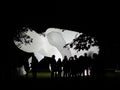 Fantastic Planet by Amanda Parer on Signal Festival Prague