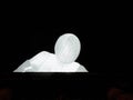 Fantastic Planet by Amanda Parer on Signal Festival Prague