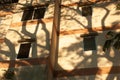 Fantastic shadow of branches of rain tree on the old facade of residential building