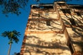 Fantastic shadow of twigs and branches of rain tree on the old facade of residential building