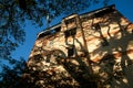 Fantastic shadow of twigs and branches of rain tree on the old facade of residential building