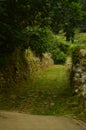 Fantastic Stoned Path On The Route Of The Encantau Camin In The Council Of Llanes. Nature, Travel, Landscapes, Forests, Fantasy.