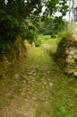 Fantastic Stoned Path On The Route Of The Encantau Camin In The Council Of Llanes. Nature, Travel, Landscapes, Forests, Fantasy.