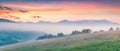 Fantastic summer sunrise in Carpathian mountains. Misty morning panorama of green mountain valley, Transcarpathian, Rika village Royalty Free Stock Photo