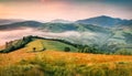 Fantastic summer sunrise in Carpathian mountains. Misty morning scene of of green mountain valley, Transcarpathian, Rika village l Royalty Free Stock Photo