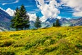 Fantastic summer view of mountain valley from the Oeschinen Lake. Gorgeous morning scene of Swiss Alps, Kandersteg village locatio Royalty Free Stock Photo