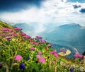 Fantastic summer view of Ortisei village. Dramatic morning scene of Gardena valley, Dolomiti Alps, South Tyrol, Italy, Europe. Royalty Free Stock Photo