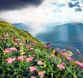 Fantastic summer view of Ortisei village. Picturesque morning scene of Gardena valley, Dolomiti Alps, South Tyrol, Italy, Europe. Royalty Free Stock Photo