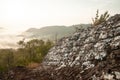 Fantastic sun crack with beautiful lichen on the mountain peak. Golden sunrise shines down around the mountains and evergreen