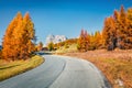 Fantastic sunny view of Dolomite Alps with yellow larch trees. Colorful autumn scene in mountains. Giau pass location, Italy, Euro Royalty Free Stock Photo