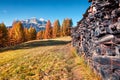 Fantastic sunny view of Dolomite Alps with yellow pine trees Royalty Free Stock Photo