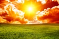 Fantastic sunset on spring field Royalty Free Stock Photo
