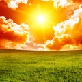 Fantastic sunset on spring field Royalty Free Stock Photo