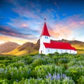 Fantastic sunset view of Vikurkirkja christian church in blooming lupine flowers Royalty Free Stock Photo