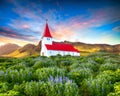 Fantastic sunset view of Vikurkirkja christian church in blooming lupine flowers Royalty Free Stock Photo