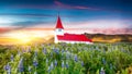 Fantastic sunset view of Vikurkirkja christian church in blooming lupine flowers Royalty Free Stock Photo